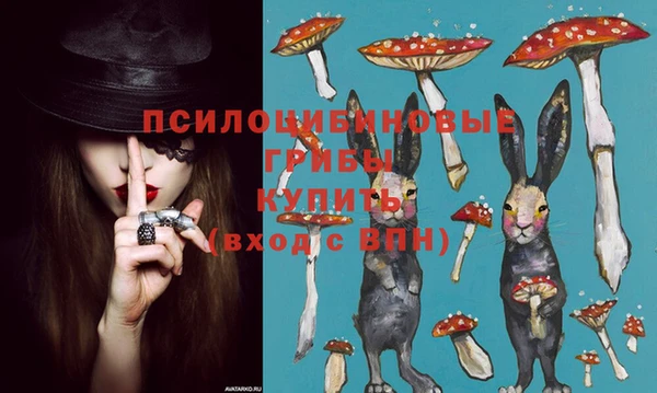 а пвп мука Белокуриха