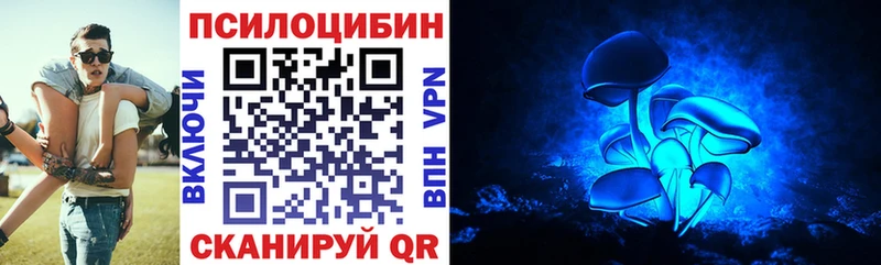 Псилоцибиновые грибы Psilocybe  блэк спрут как войти  Шадринск 
